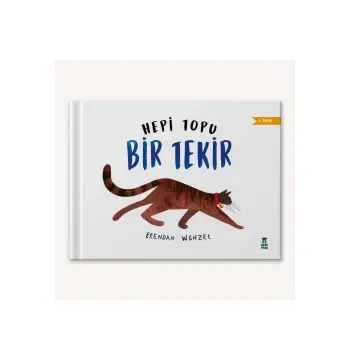 Hepi Topu Bir Tekir
